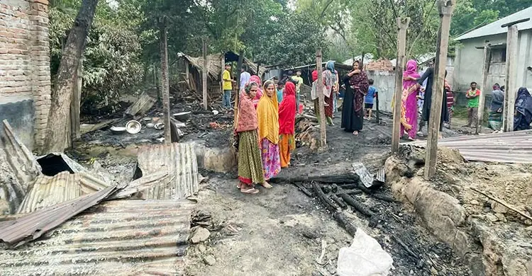 গোয়ালঘরে জ্বালানো মশার কয়েল থেকে অগ্নিকাণ্ড, গবাদিপশুসহ পুড়েছে বসতঘর